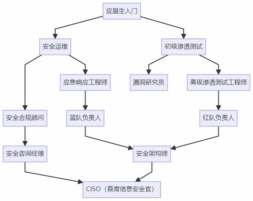 計算機生求職避坑指南 選網絡安全，比卷開發香太多